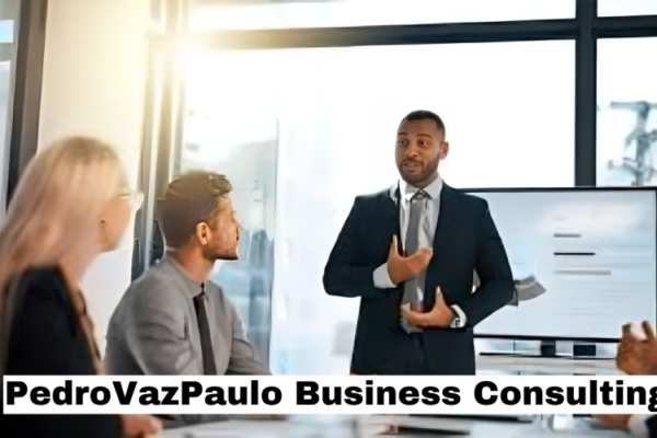 PedroVazPaulo Business Consulting