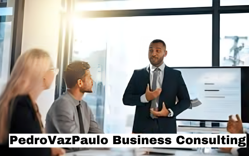 PedroVazPaulo Business Consulting