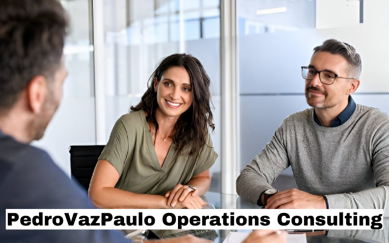 PedroVazPaulo Operations Consulting