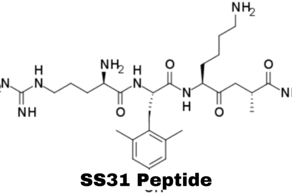 SS31 Peptide