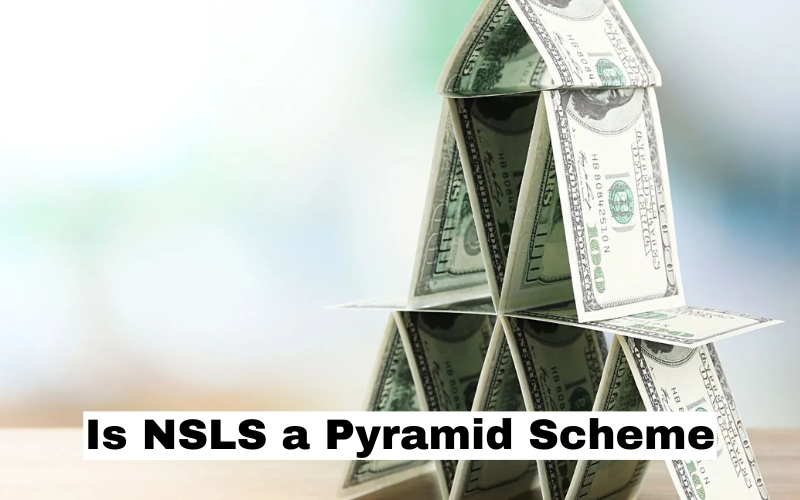 Is NSLS a Pyramid Scheme